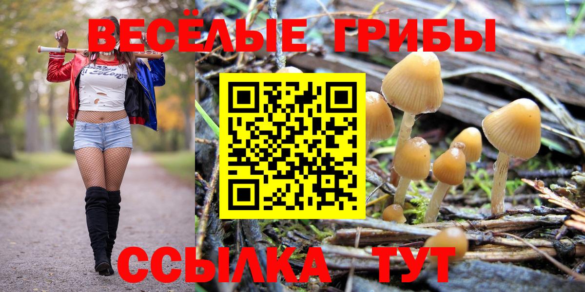 Канабис  Ростов Великий  Вход с VPN  Меф МЯУ МЯУ   ГАШИШ  Мефедрон 