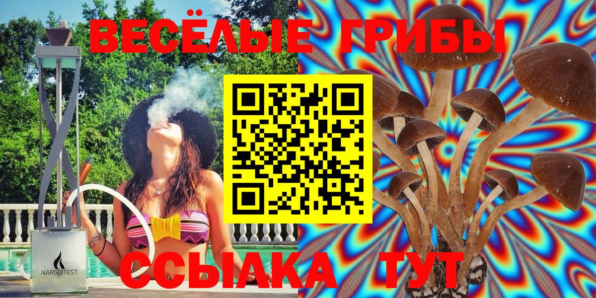Псилоцибиновые грибы Psilocybe Ростов Великий