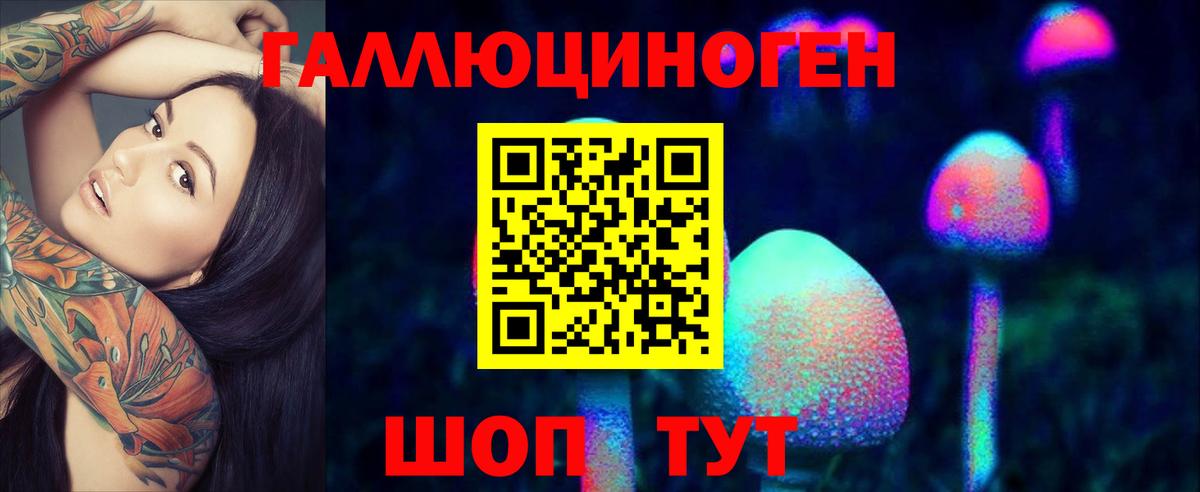 Ростов Великий  наркота  Галлюциногенные грибы Psilocybine cubensis  Вход с VPN  Галлюциногенные грибы прущие грибы 